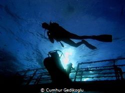 Wreck Diving
MONEM - CESME - IZMIR by Cumhur Gedikoglu 